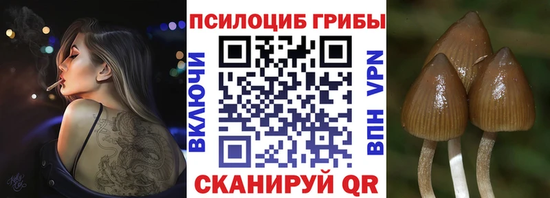 Псилоцибиновые грибы Psilocybine cubensis  MEGA зеркало  Выкса  где можно купить наркотик 